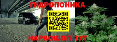 стафф Анапа