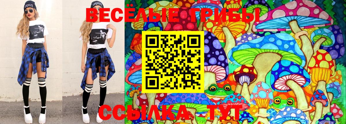 Псилоцибиновые грибы Psilocybe Майкоп