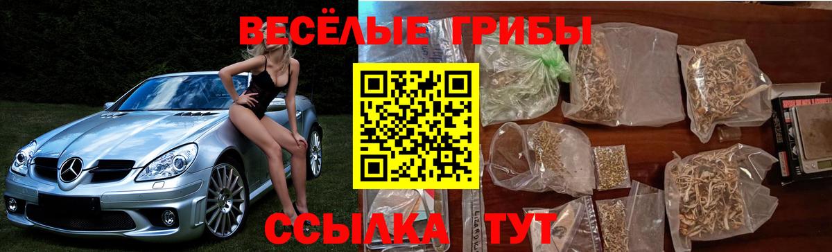Галлюциногенные грибы Psilocybine cubensis  Вход с VPN  Майкоп 